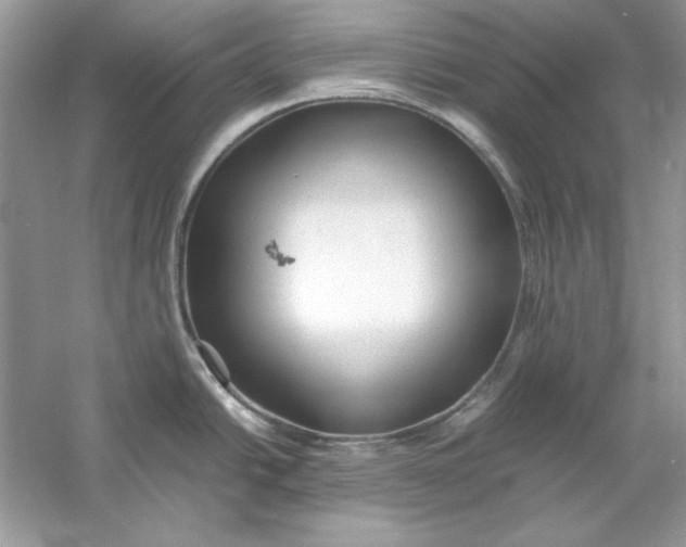 X0000060751438200512011435