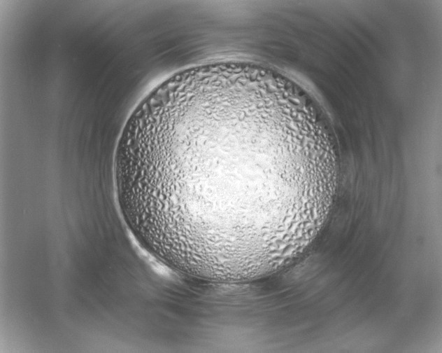 X0000060751439200512011435