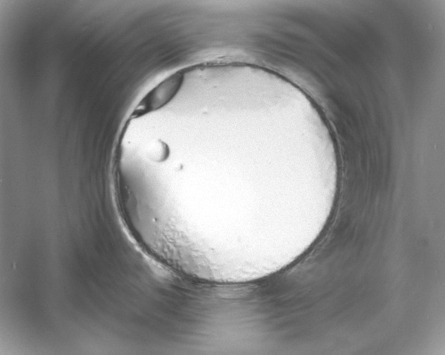 X0000060751440200512011435