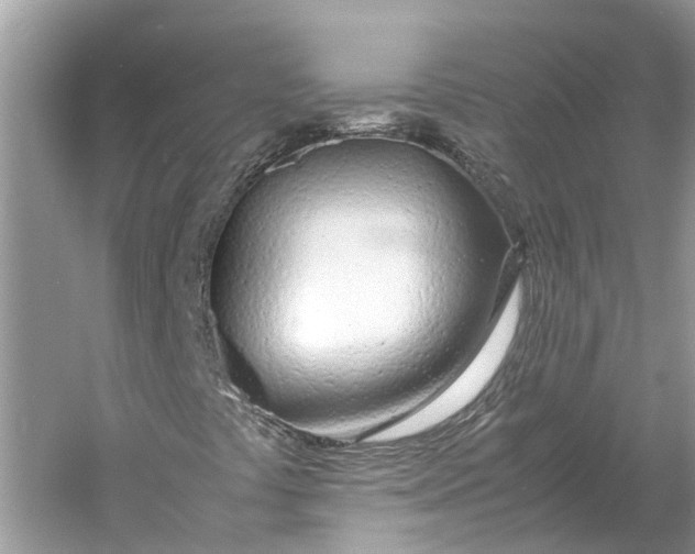 X0000060751441200512011434