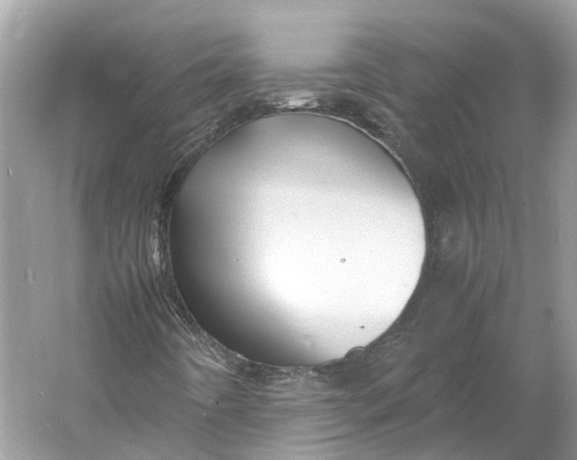 X0000060751442200512011434