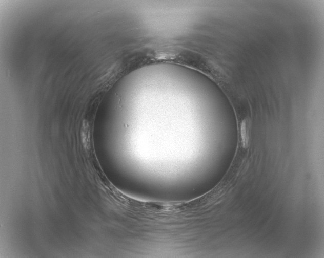 X0000060751443200512011434