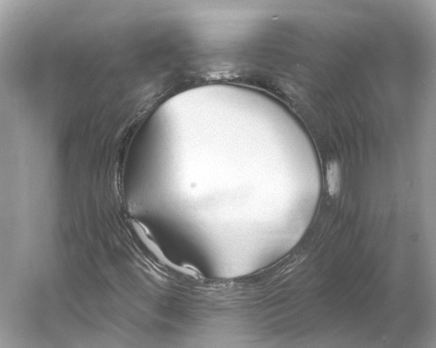 X0000060751444200512011434