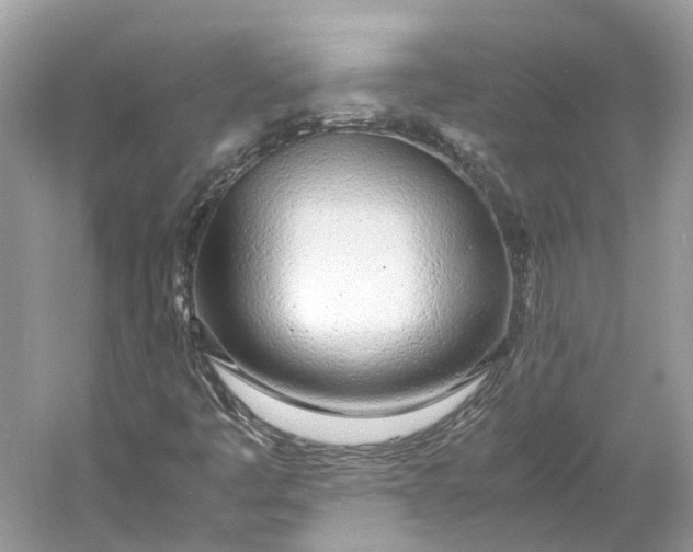 X0000060751445200512011434