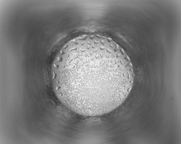 X0000060751446200512011434