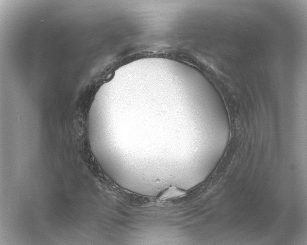 X0000060751447200512011434