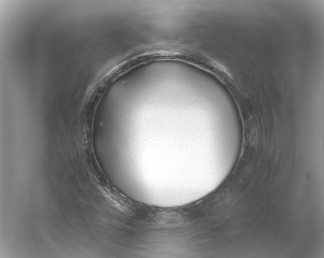 X0000060751448200512011434