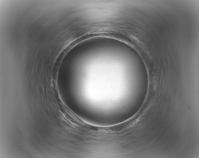 X0000060751449200512011434