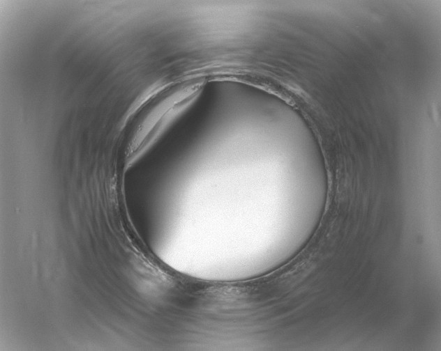 X0000060751450200512011434