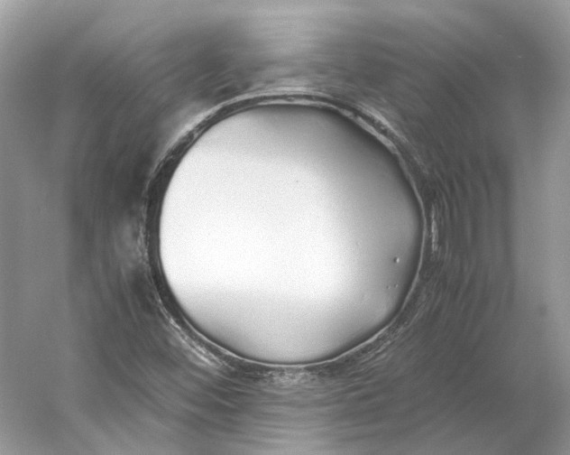 X0000060751452200512011434