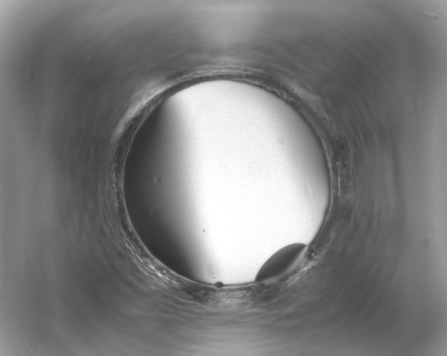 X0000060751453200512011434