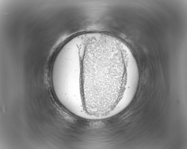 X0000060751454200512011434