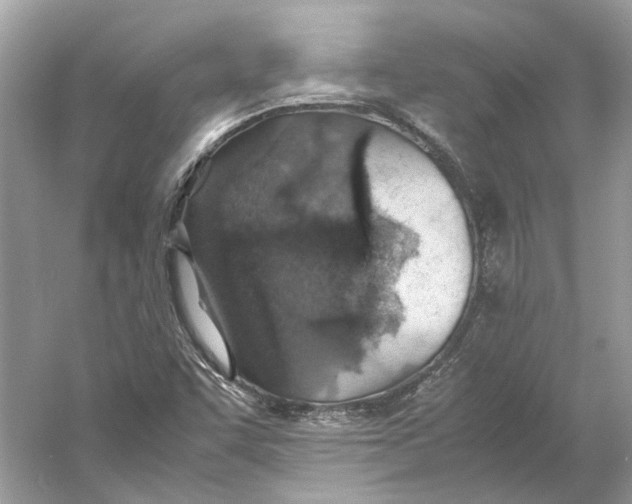 X0000060751455200512011434