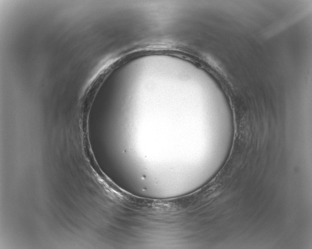 X0000060751456200512011434