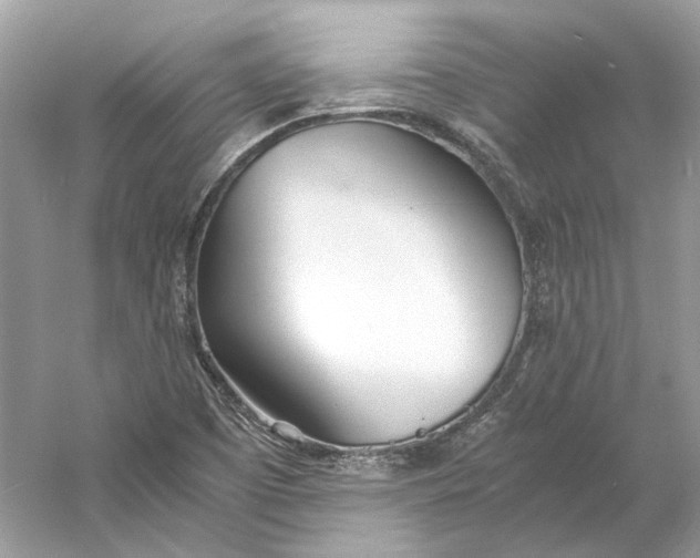 X0000060751457200512011434