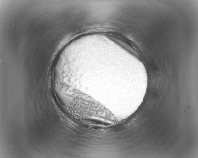 X0000060751459200512011434