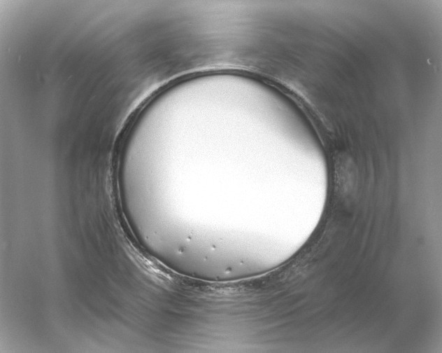 X0000060751460200512011434