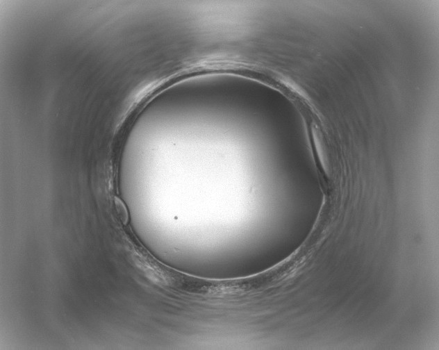 X0000060751461200512011434