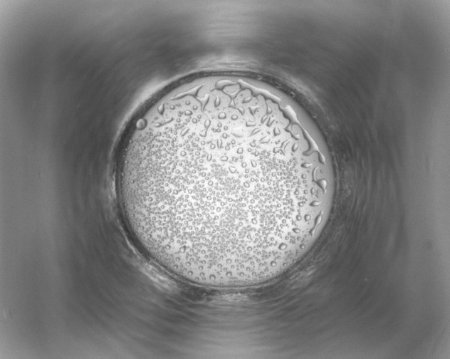 X0000060751462200512011434