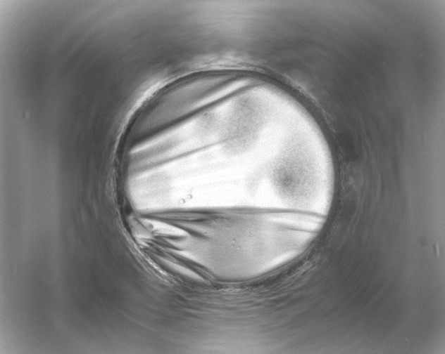 X0000060751463200512011434