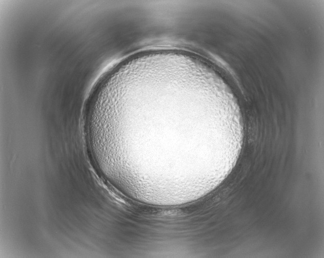 X0000060751464200512011434