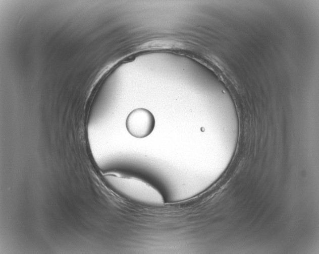 X0000060751465200512011433