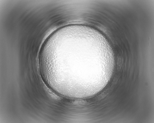 X0000060751466200512011433