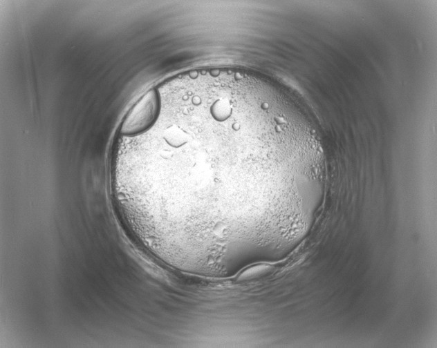 X0000060751467200512011433