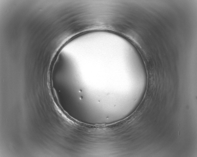 X0000060751468200512011433