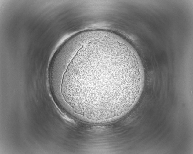 X0000060751470200512011433