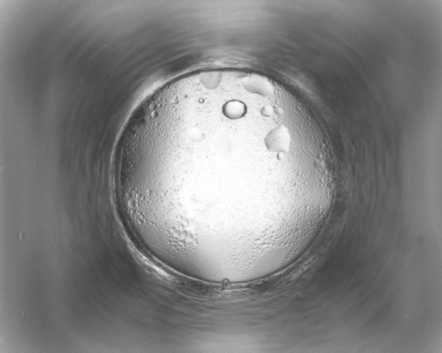 X0000060751471200512011433