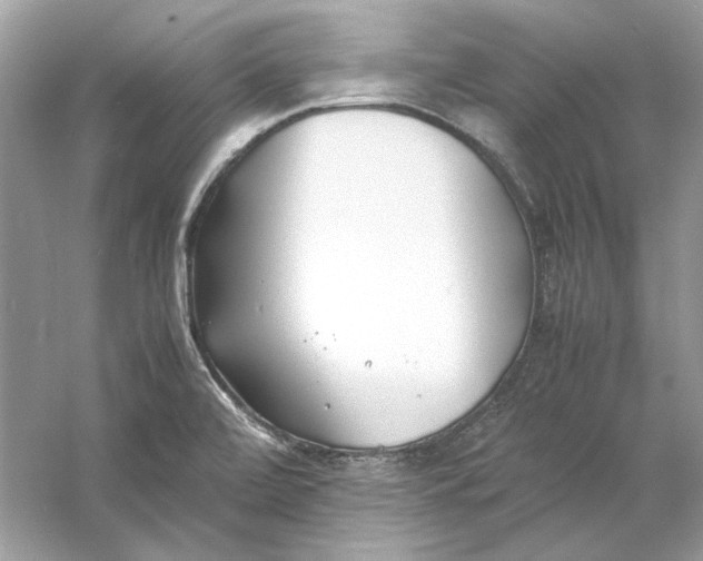 X0000060751472200512011433