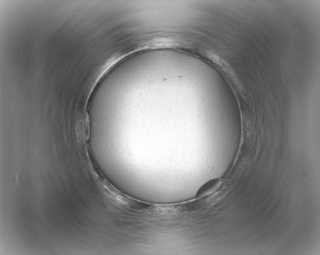 X0000060751473200512011433