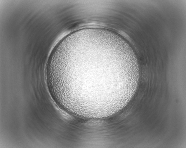 X0000060751474200512011433