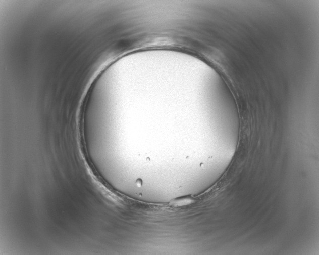 X0000060751475200512011433