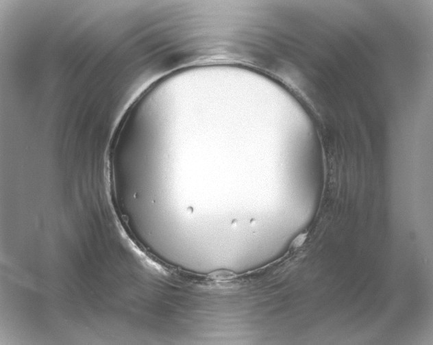 X0000060751476200512011433