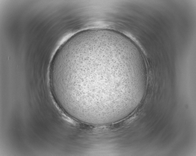 X0000060751477200512011433