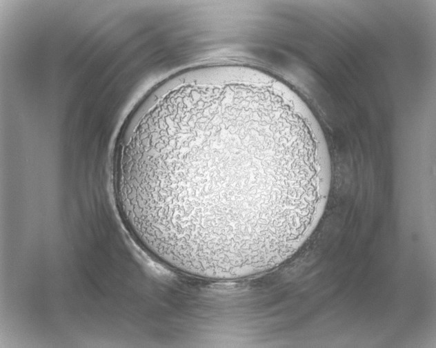 X0000060751478200512011433