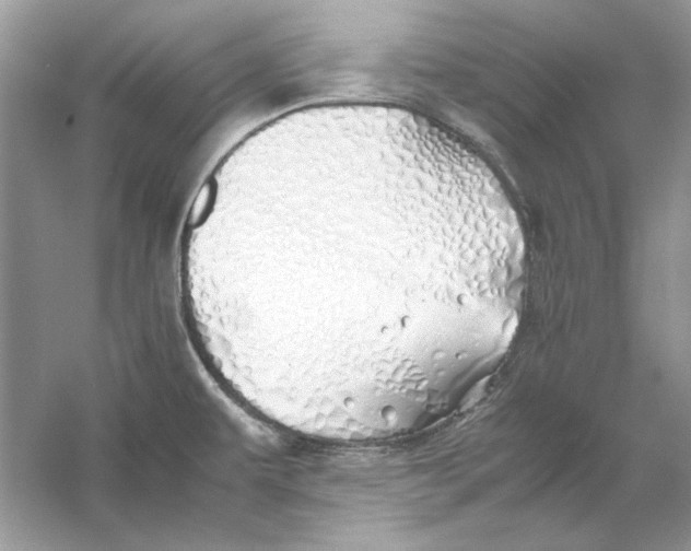 X0000060751479200512011433