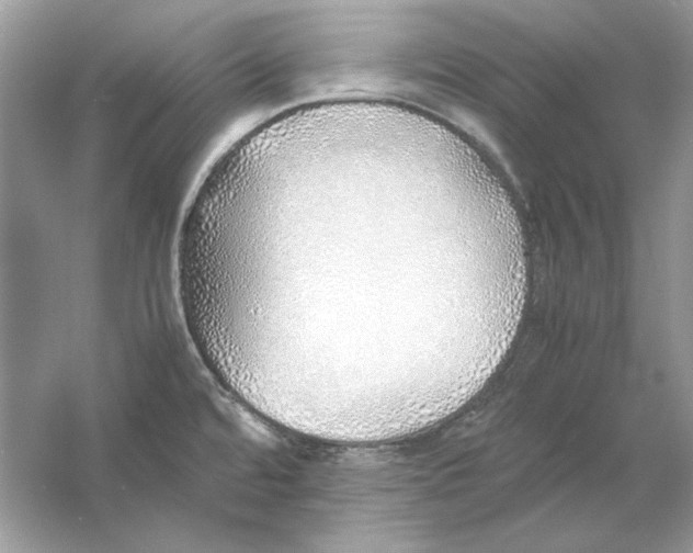 X0000060751480200512011433