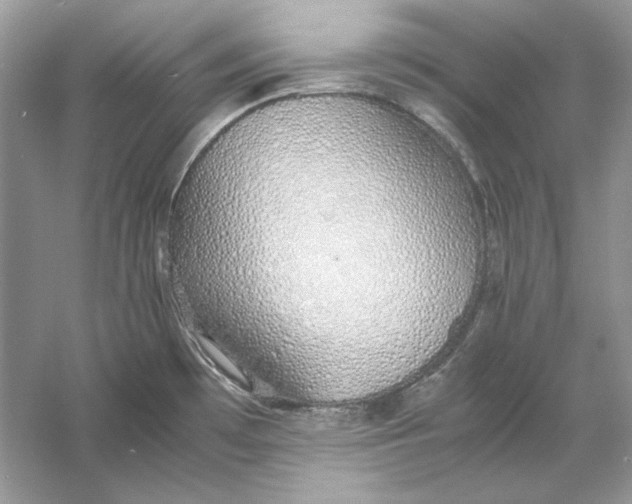 X0000060751481200512011433