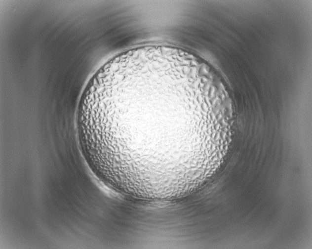 X0000060751482200512011433