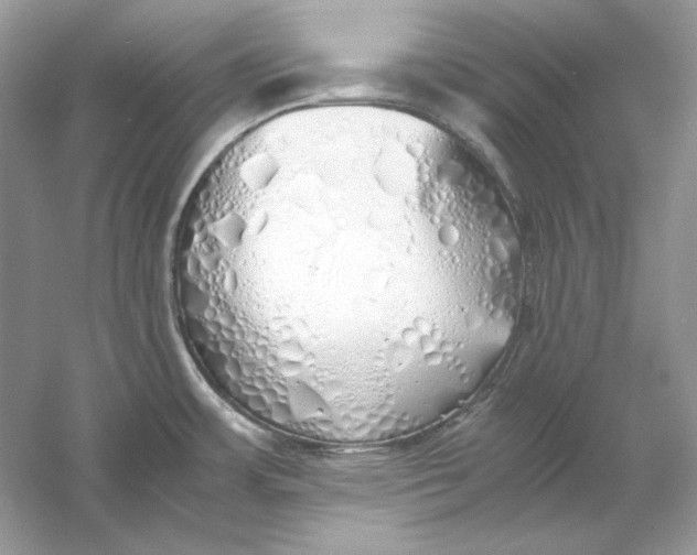 X0000060751483200512011433