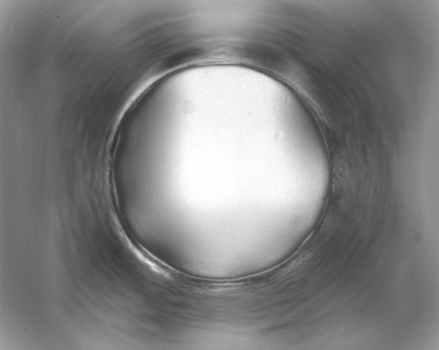 X0000060751484200512011433