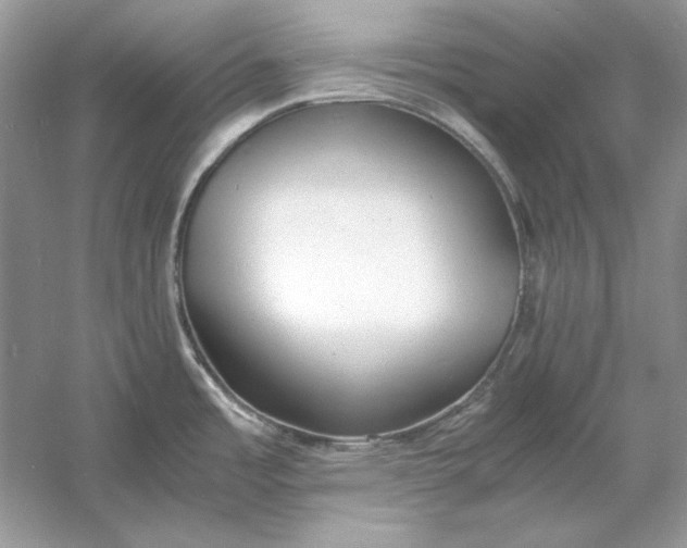 X0000060751485200512011433