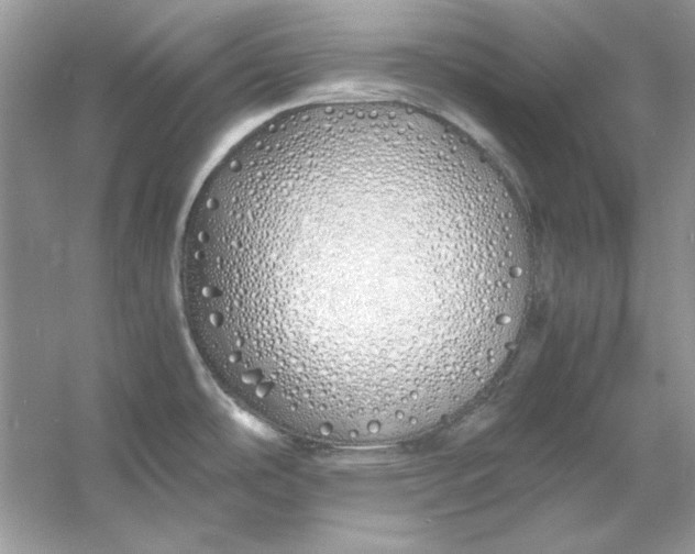 X0000060751486200512011433