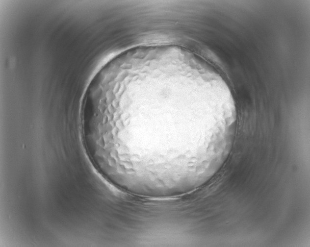 X0000060751487200512011433