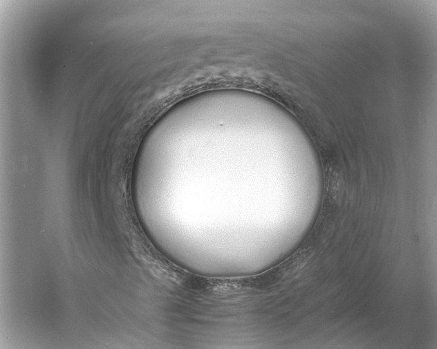 X0000060751489200512011432