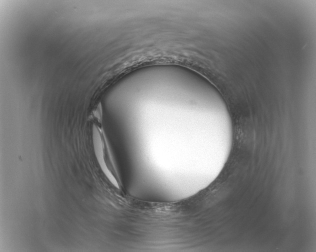 X0000060751490200512011432