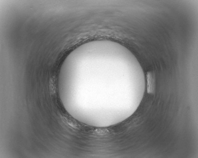 X0000060751491200512011432